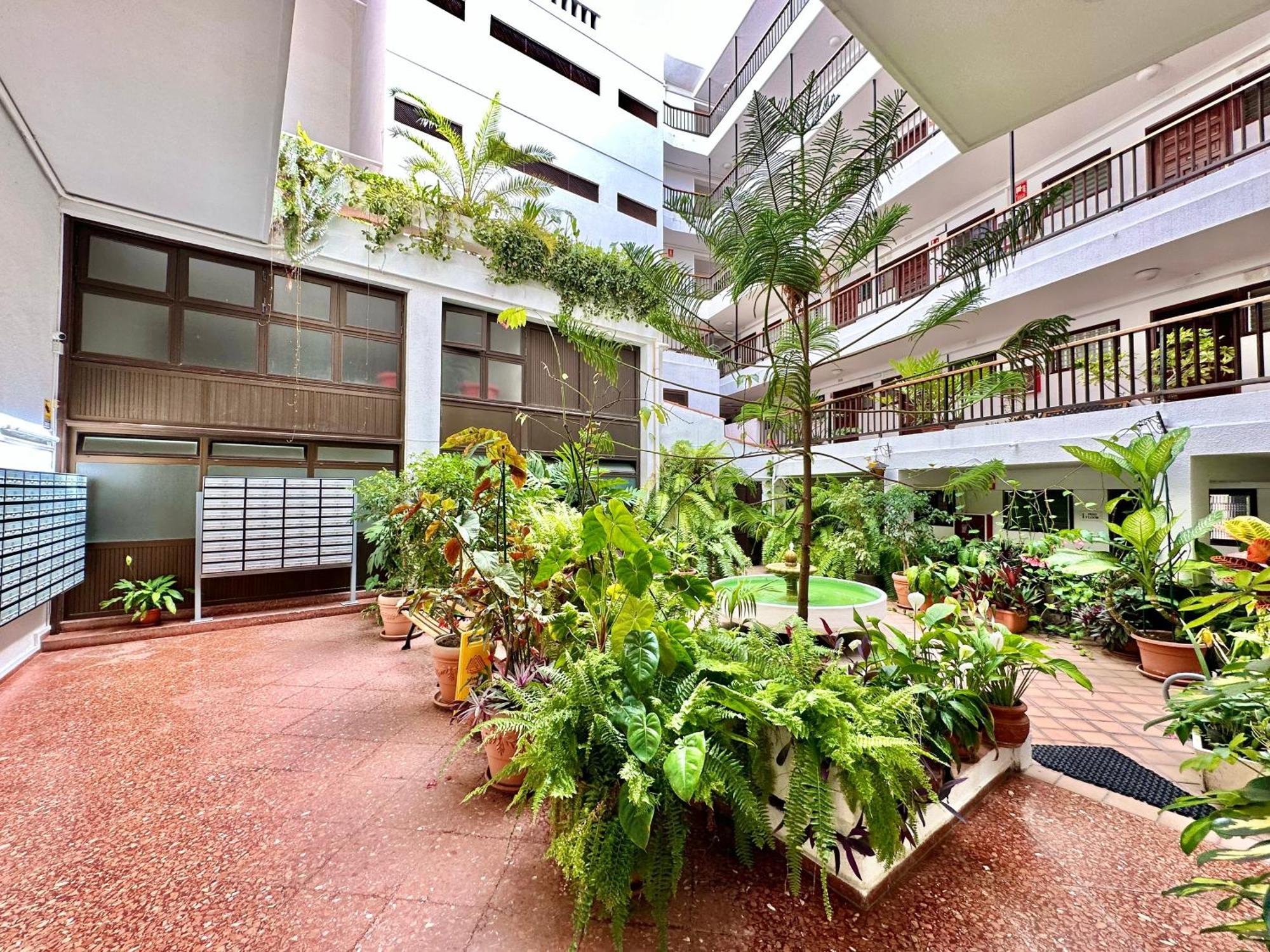 First Line Attic - Adults Only - Apartment Puerto de la Cruz  Exterior photo
